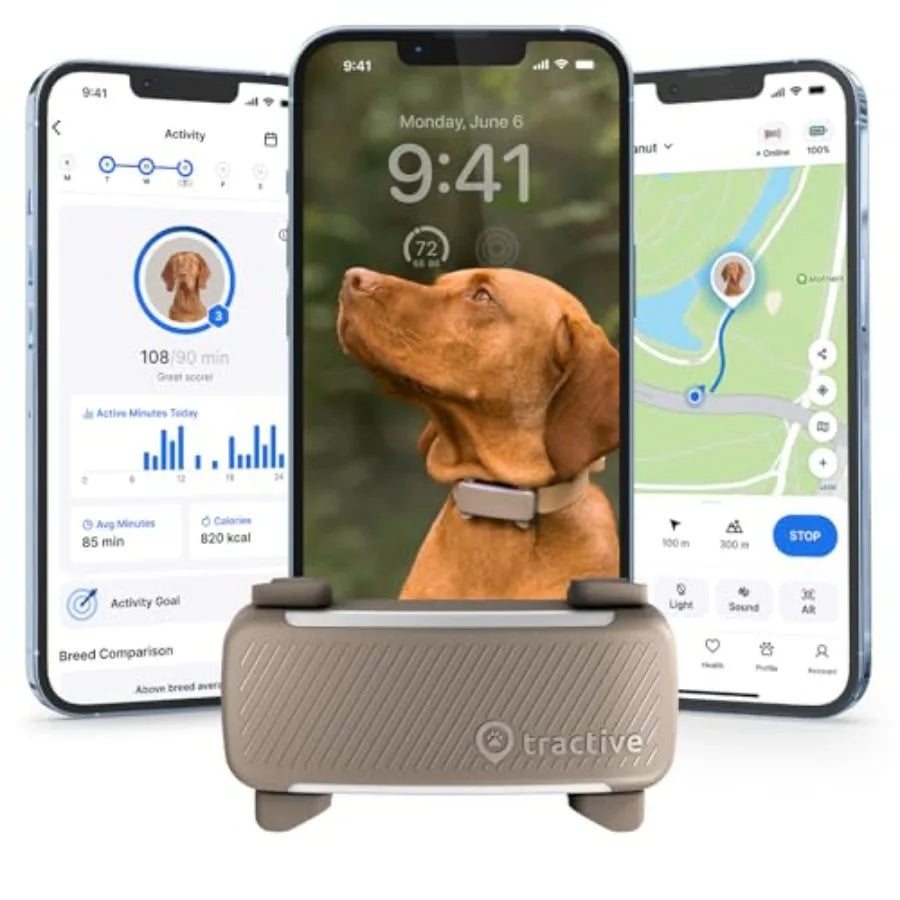Tractive Smart Dog GPS Tracker n
